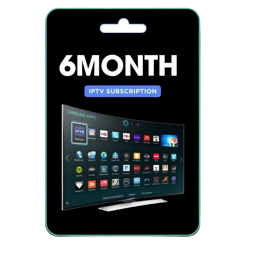 6 Months Plan